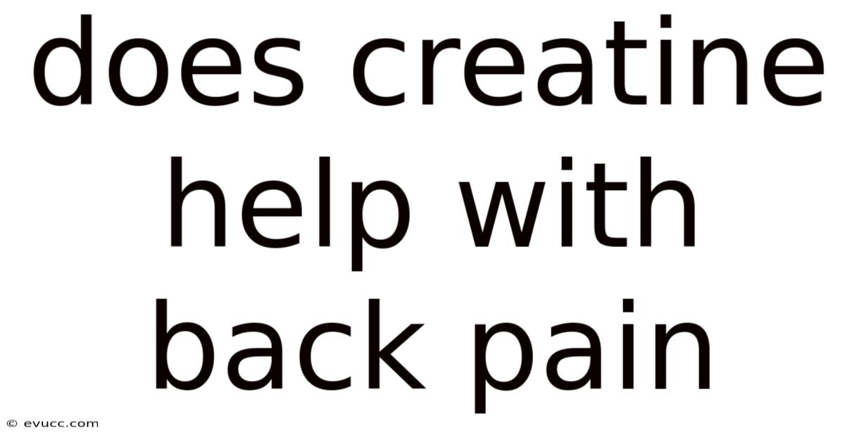 Does Creatine Help With Back Pain