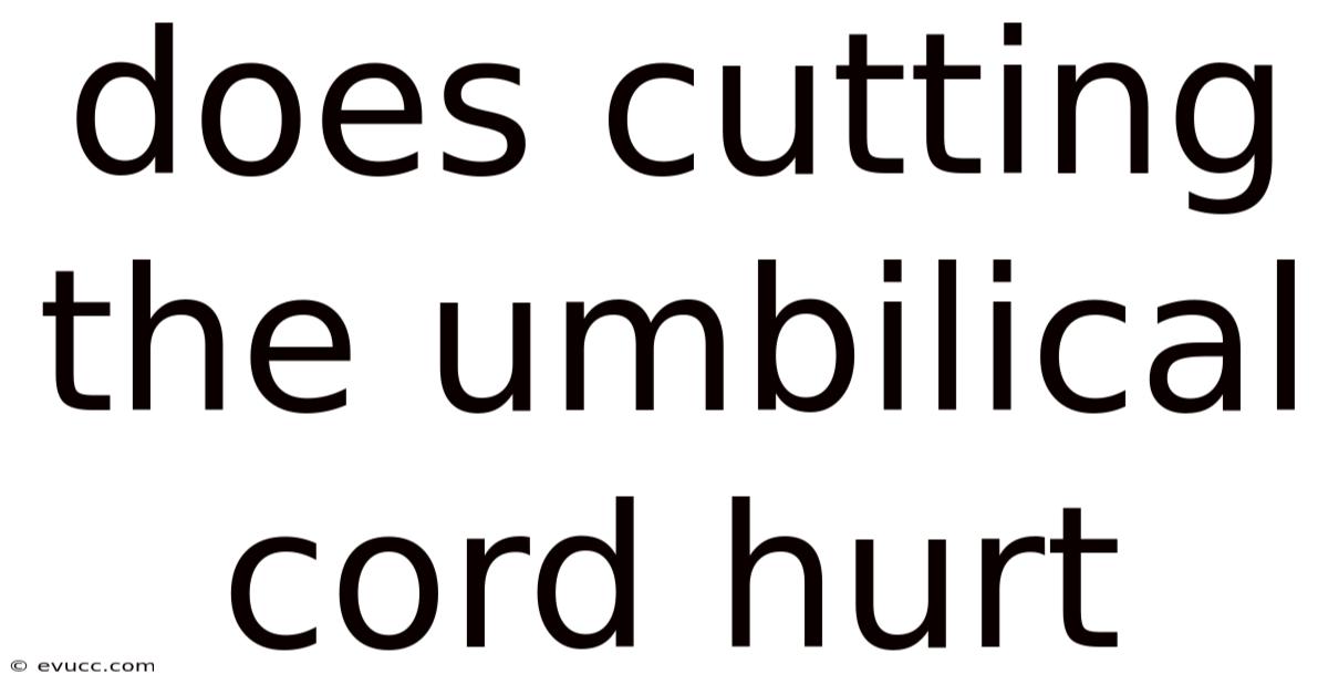 Does Cutting The Umbilical Cord Hurt
