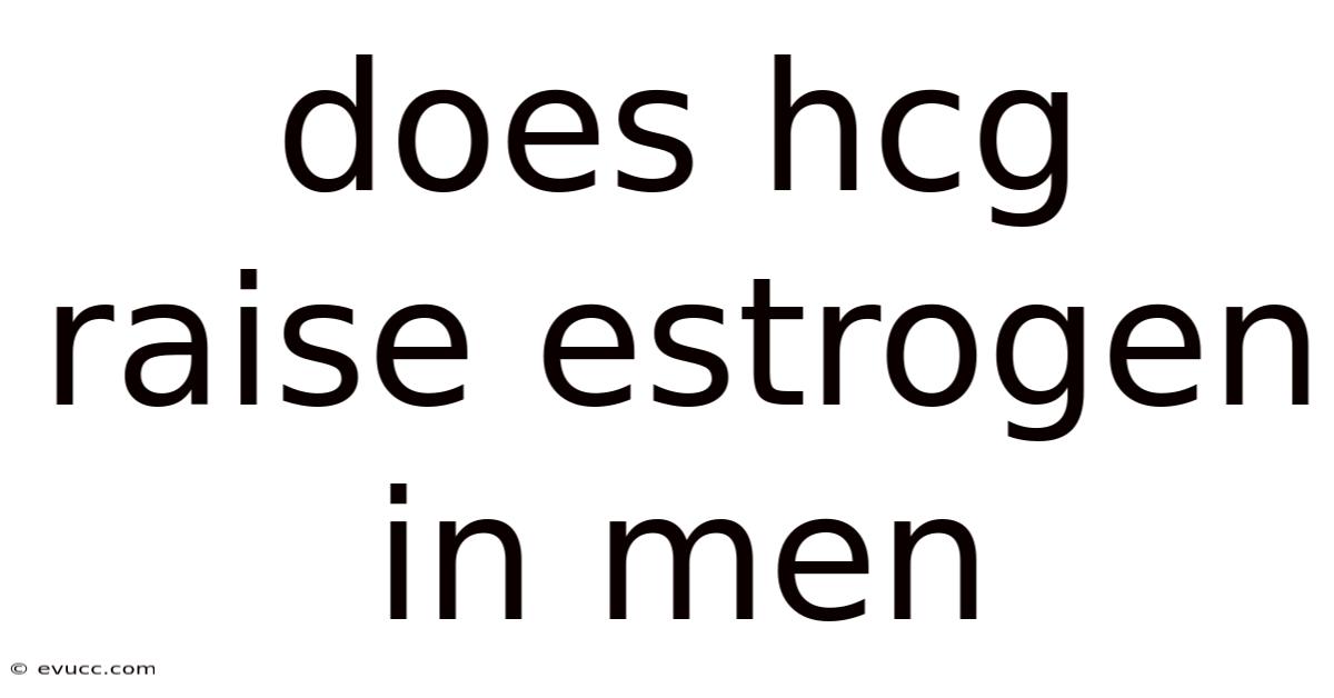 Does Hcg Raise Estrogen In Men