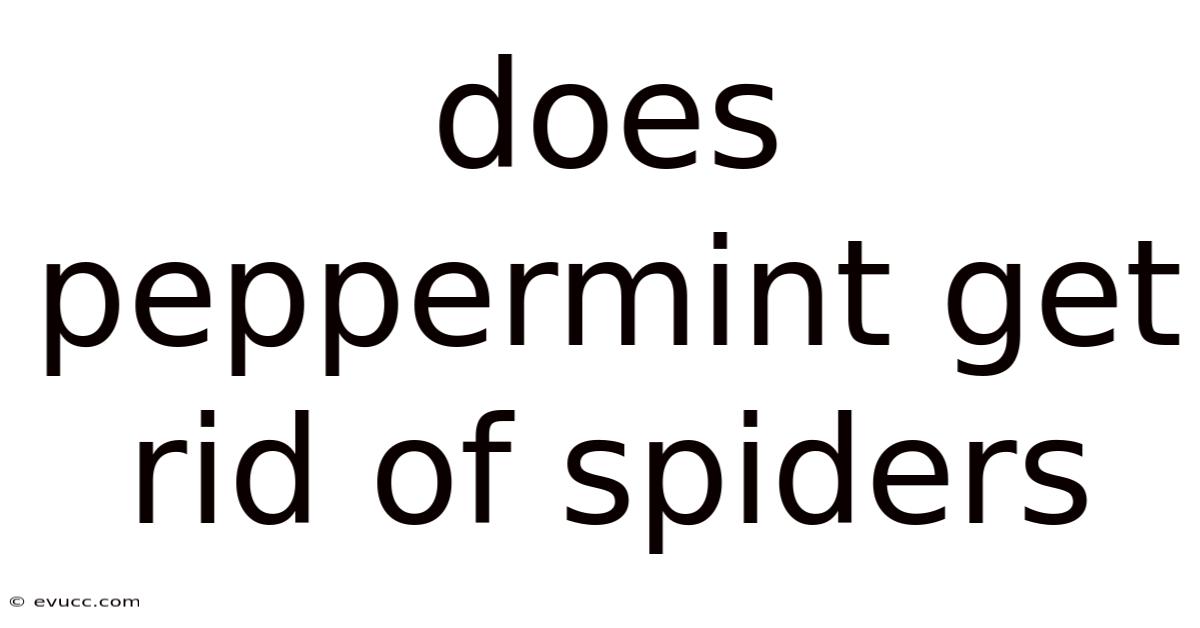Does Peppermint Get Rid Of Spiders