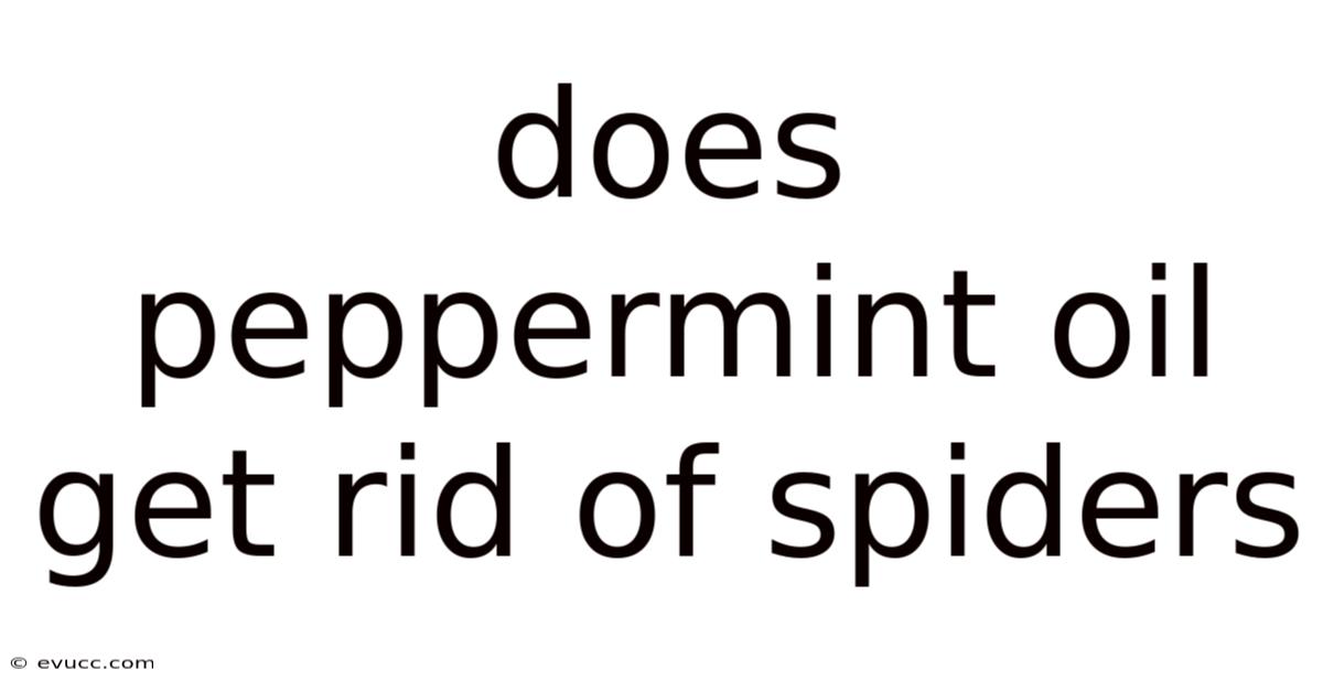 Does Peppermint Oil Get Rid Of Spiders