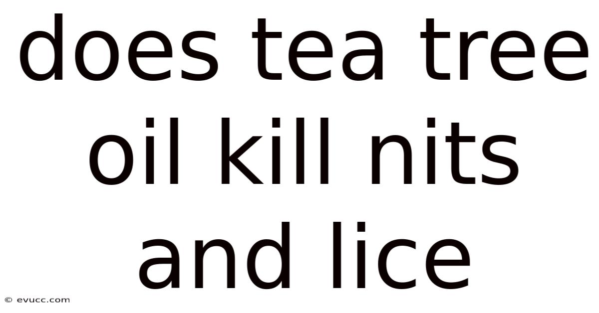 Does Tea Tree Oil Kill Nits And Lice