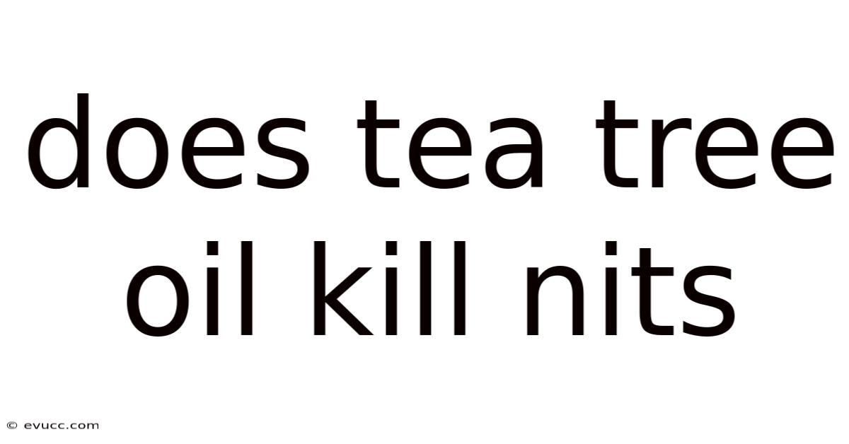 Does Tea Tree Oil Kill Nits