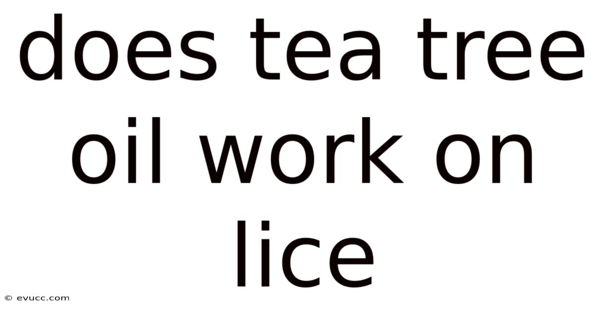 Does Tea Tree Oil Work On Lice