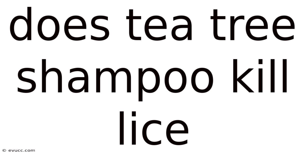 Does Tea Tree Shampoo Kill Lice