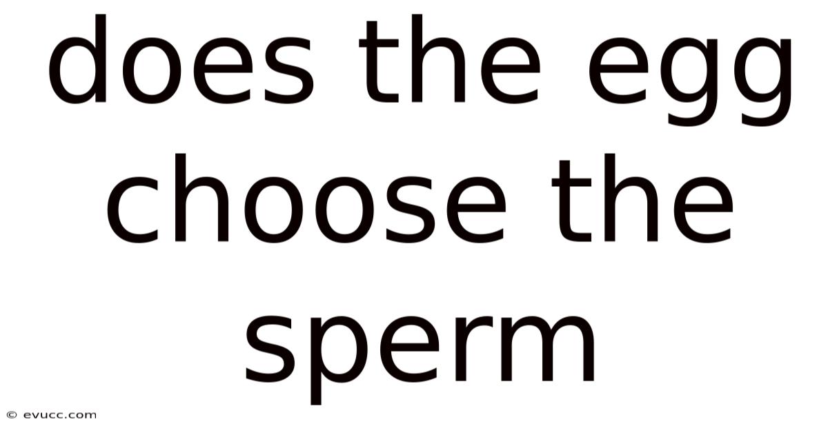 Does The Egg Choose The Sperm