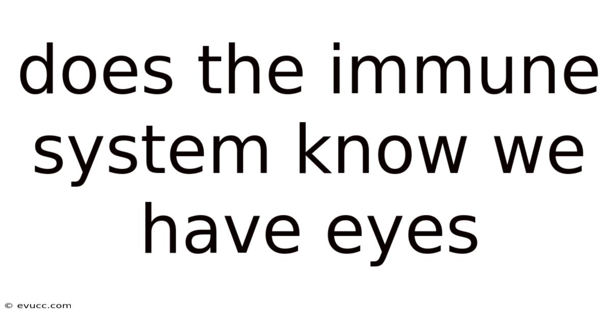 Does The Immune System Know We Have Eyes