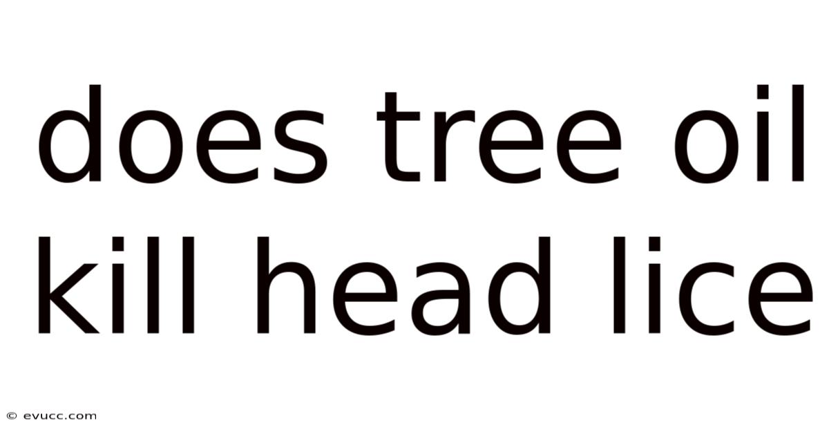 Does Tree Oil Kill Head Lice