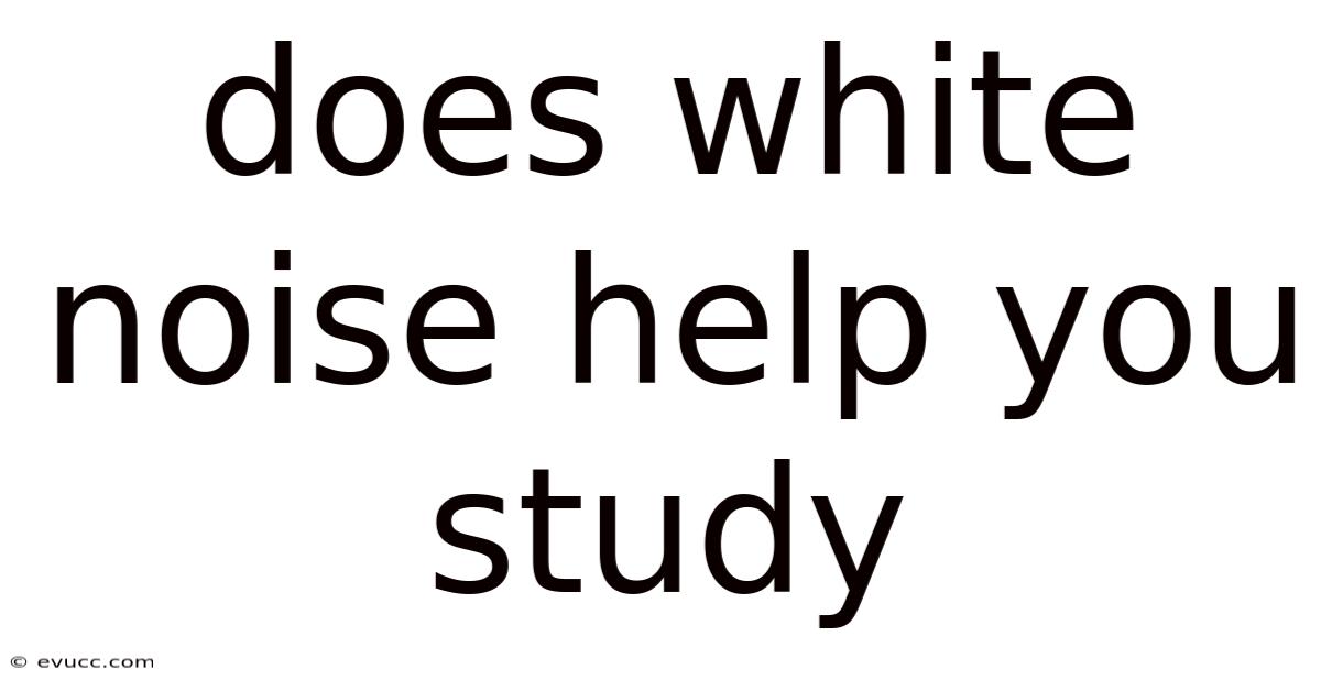 Does White Noise Help You Study