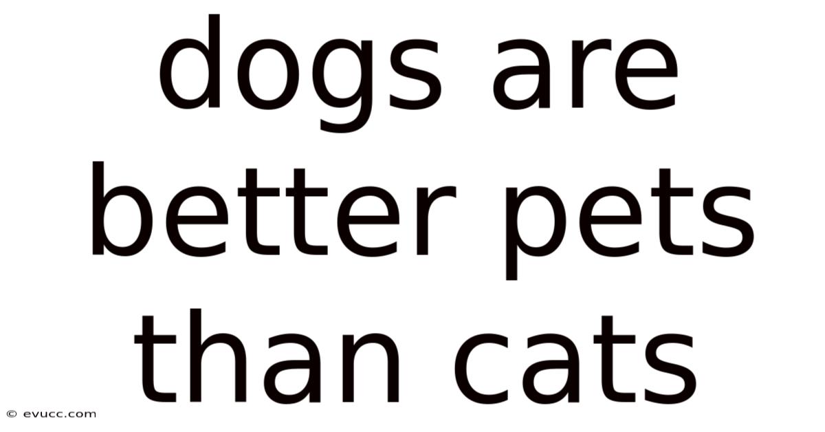 Dogs Are Better Pets Than Cats