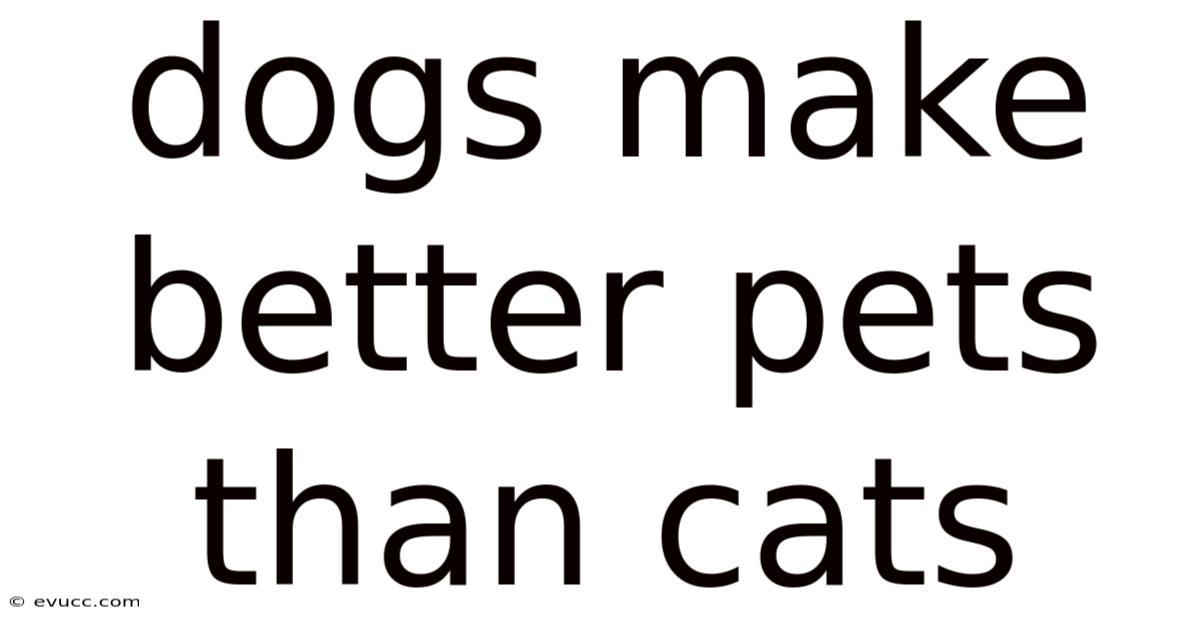 Dogs Make Better Pets Than Cats