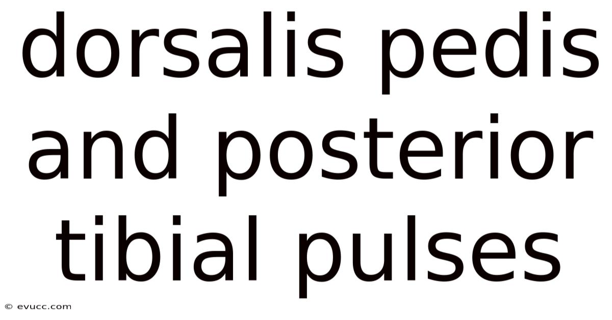 Dorsalis Pedis And Posterior Tibial Pulses