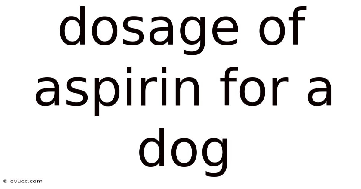 Dosage Of Aspirin For A Dog