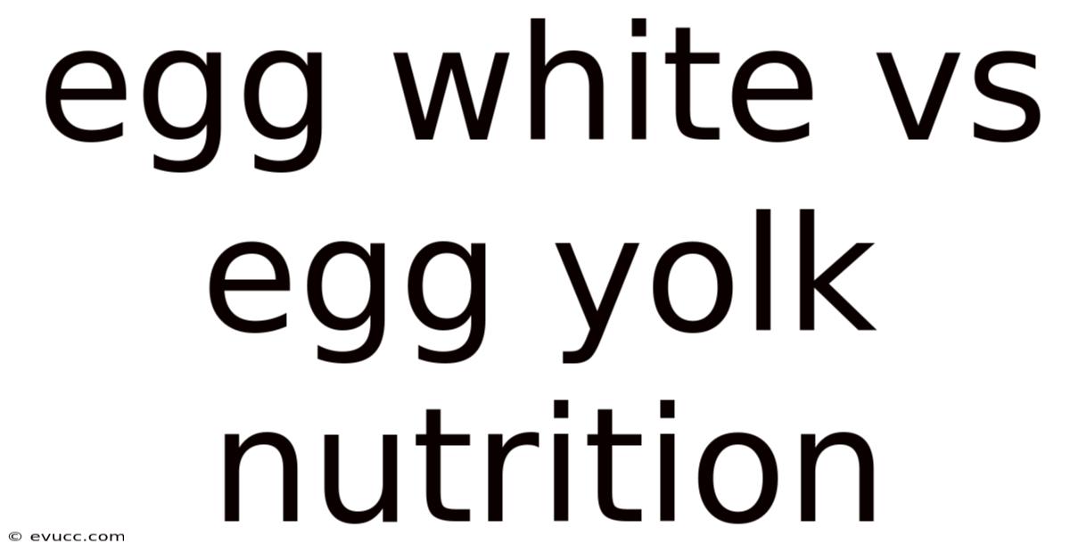 Egg White Vs Egg Yolk Nutrition