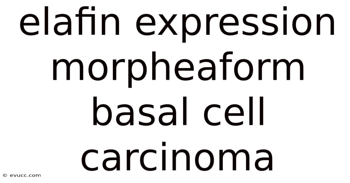 Elafin Expression Morpheaform Basal Cell Carcinoma