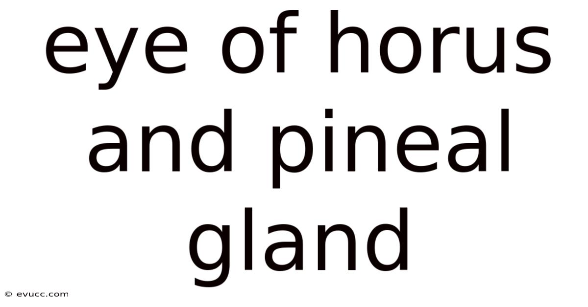 Eye Of Horus And Pineal Gland