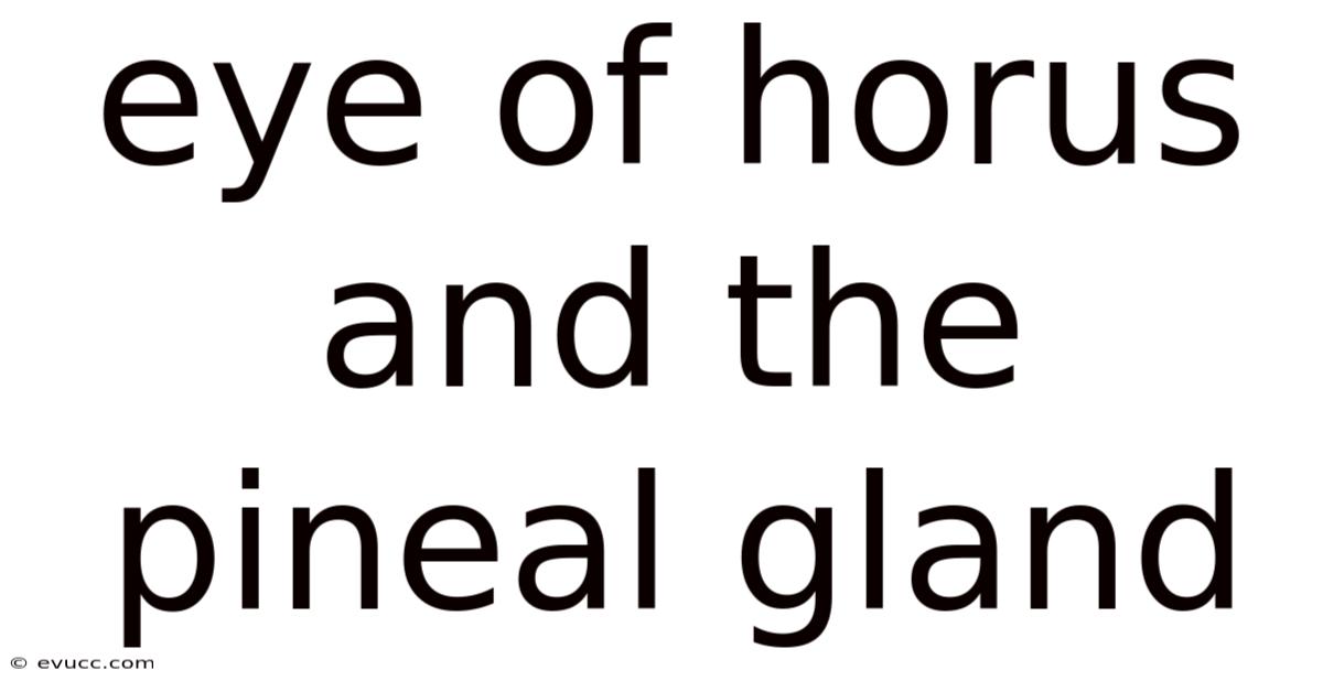Eye Of Horus And The Pineal Gland