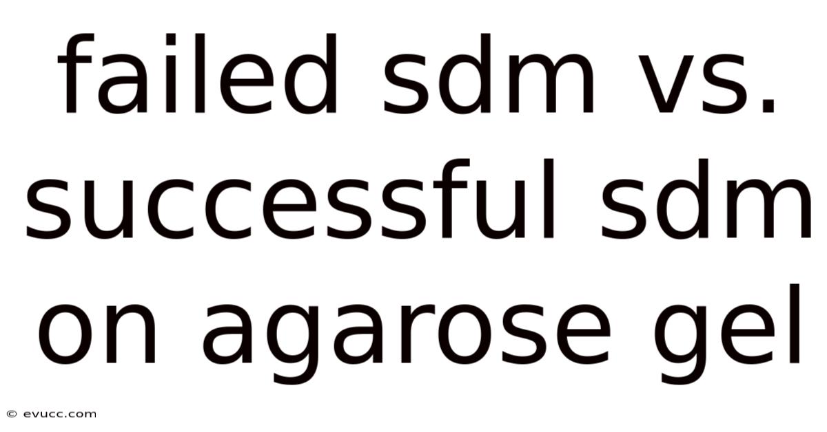 Failed Sdm Vs. Successful Sdm On Agarose Gel