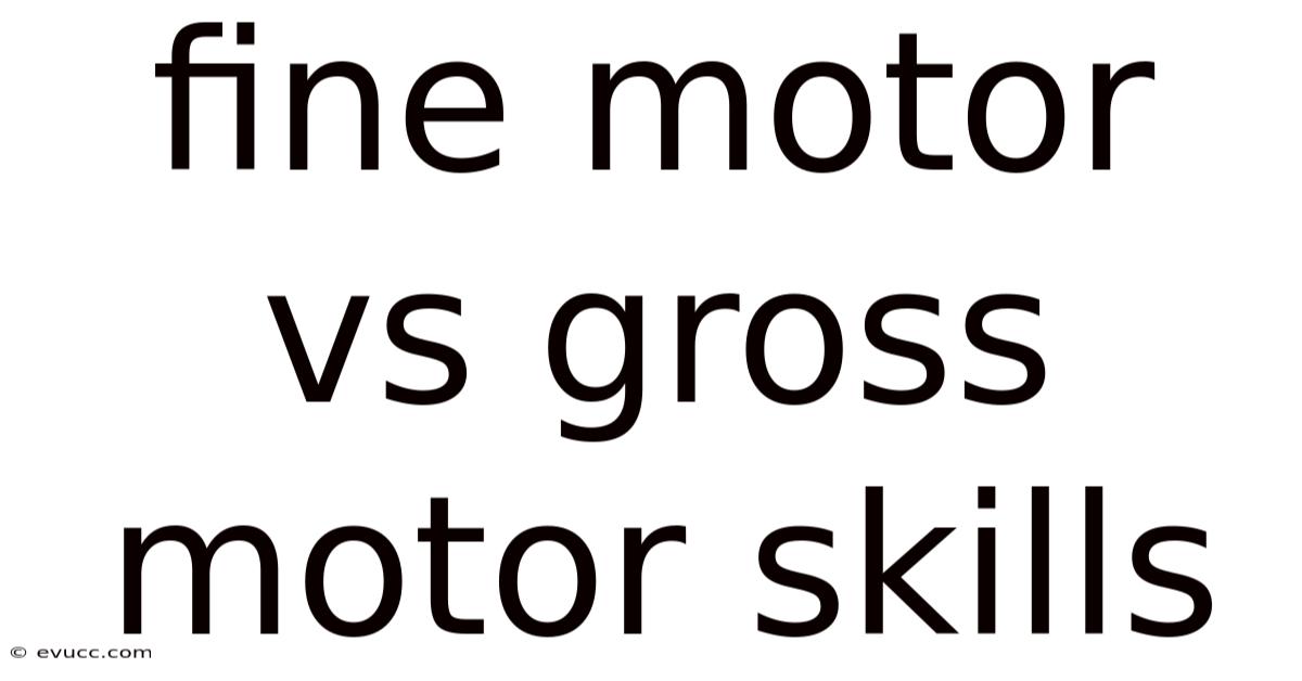 Fine Motor Vs Gross Motor Skills