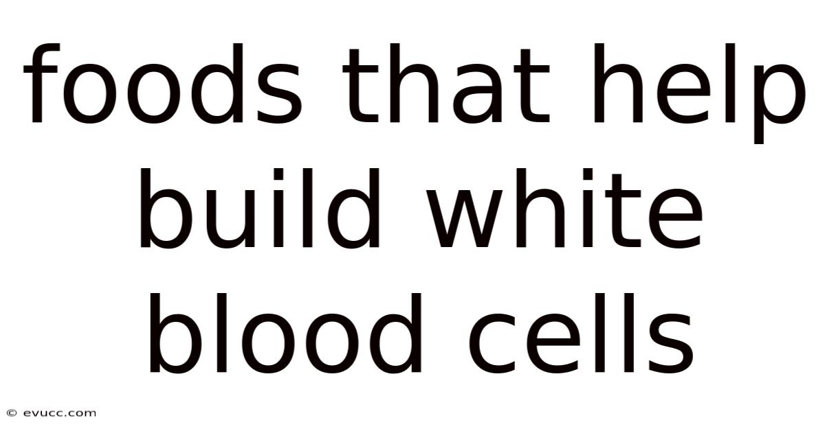 Foods That Help Build White Blood Cells
