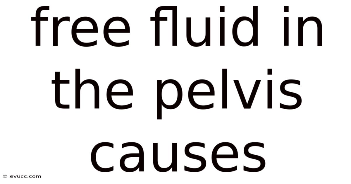 Free Fluid In The Pelvis Causes