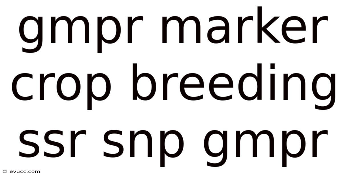 Gmpr Marker Crop Breeding Ssr Snp Gmpr