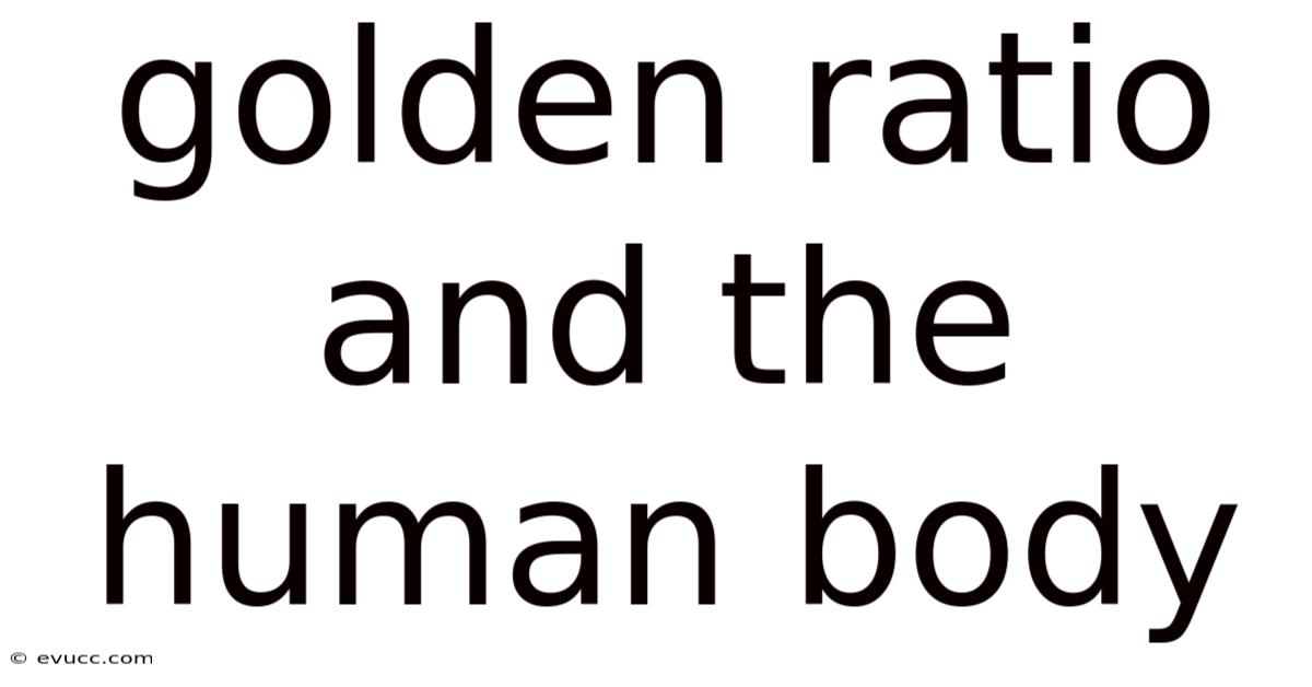 Golden Ratio And The Human Body