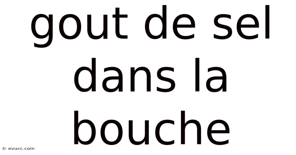 Gout De Sel Dans La Bouche