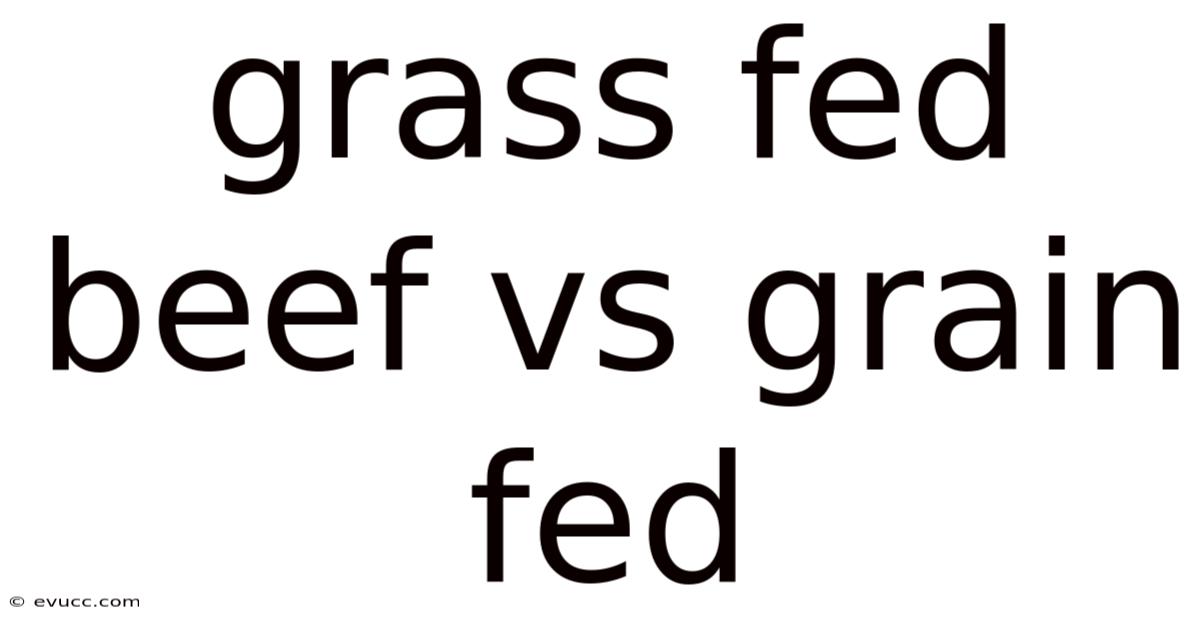 Grass Fed Beef Vs Grain Fed