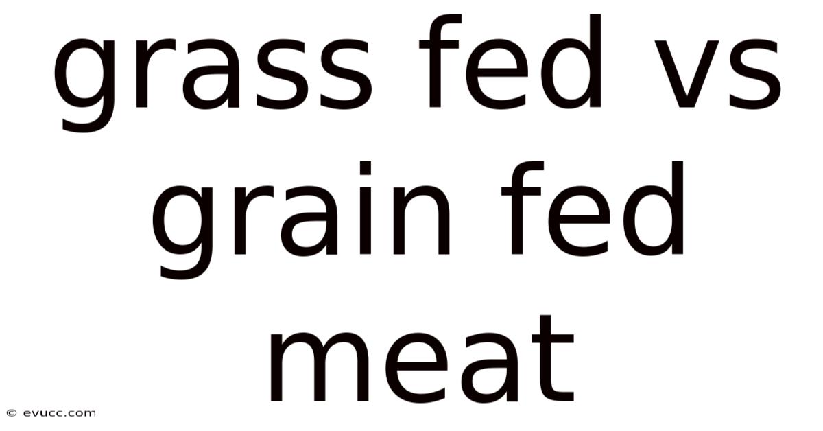 Grass Fed Vs Grain Fed Meat