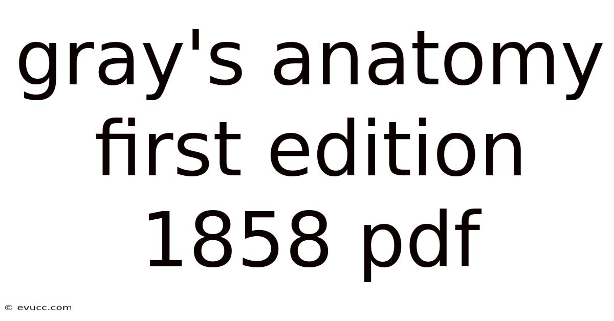 Gray's Anatomy First Edition 1858 Pdf