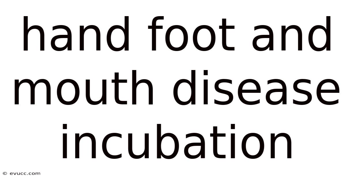 Hand Foot And Mouth Disease Incubation