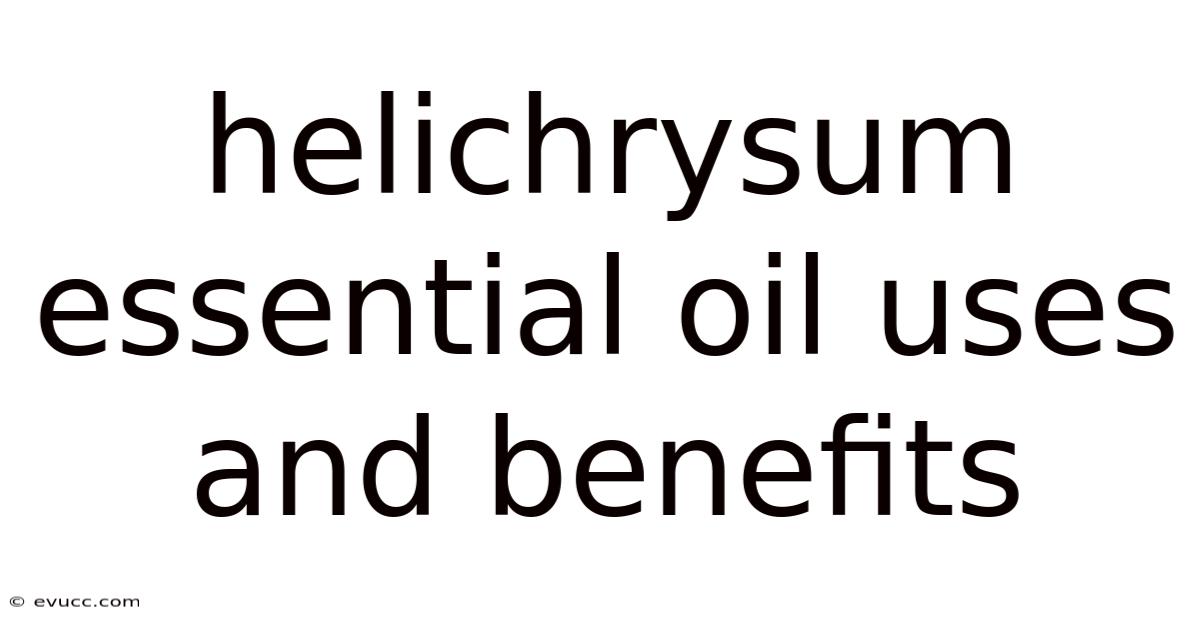 Helichrysum Essential Oil Uses And Benefits