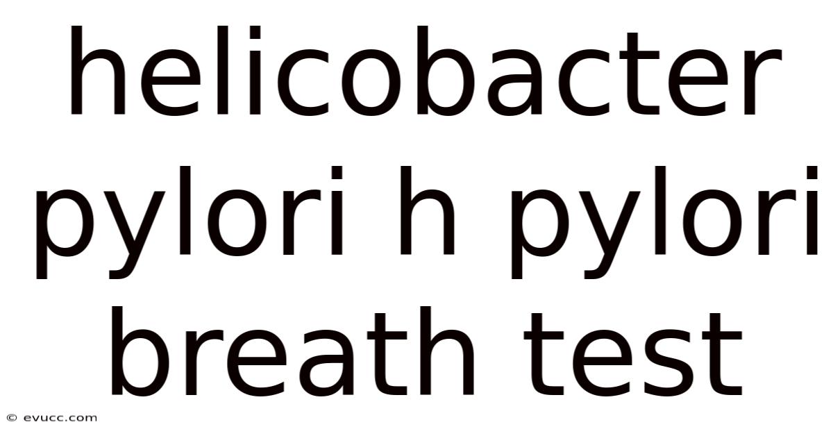 Helicobacter Pylori H Pylori Breath Test