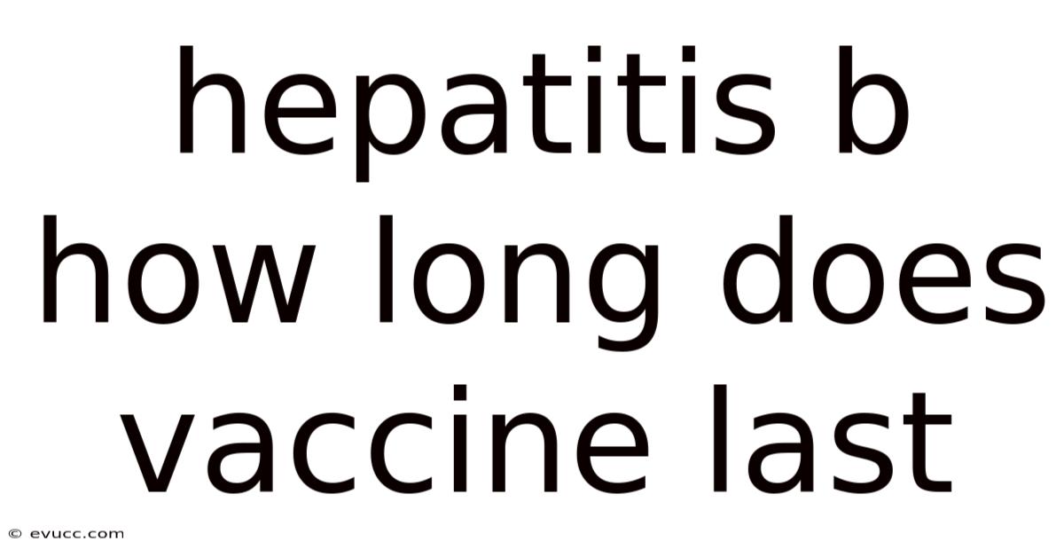 Hepatitis B How Long Does Vaccine Last