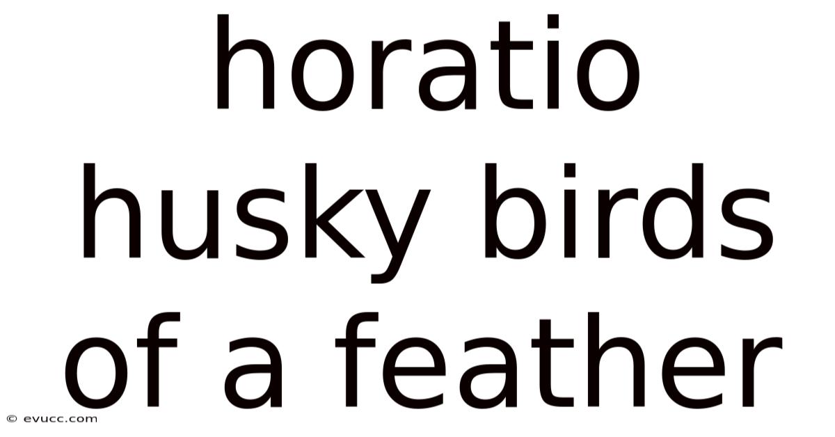 Horatio Husky Birds Of A Feather