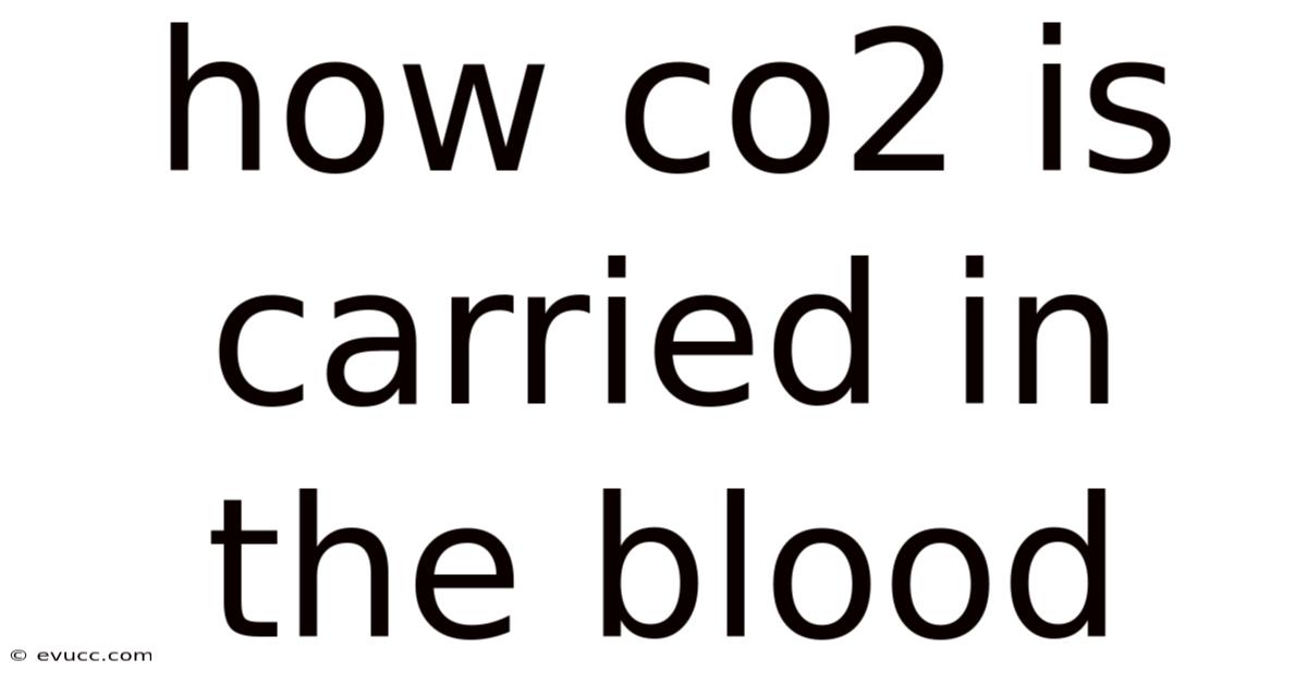 How Co2 Is Carried In The Blood