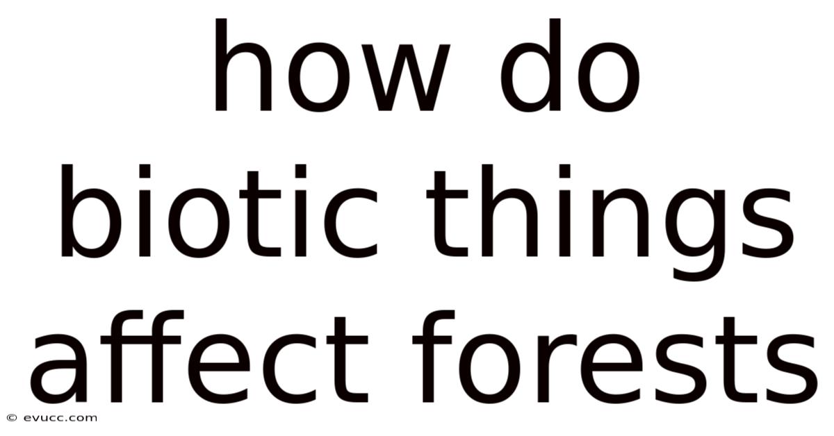 How Do Biotic Things Affect Forests