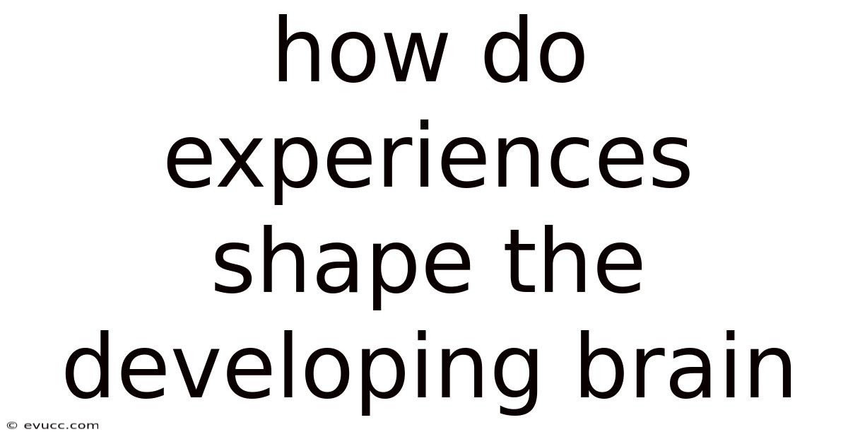 How Do Experiences Shape The Developing Brain