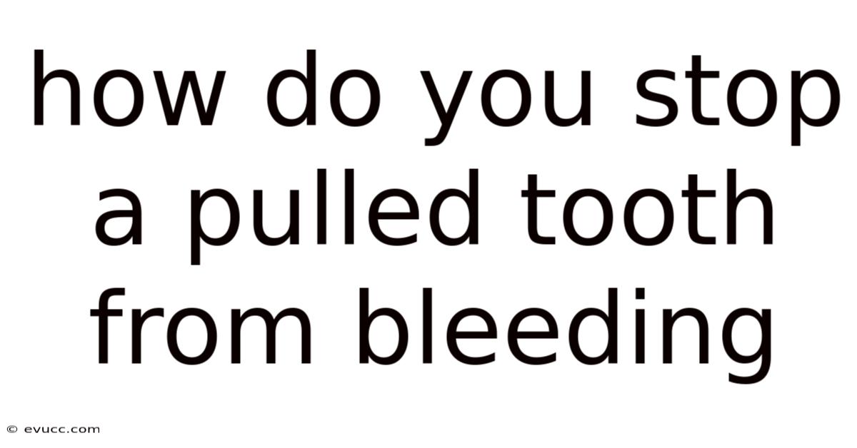 How Do You Stop A Pulled Tooth From Bleeding
