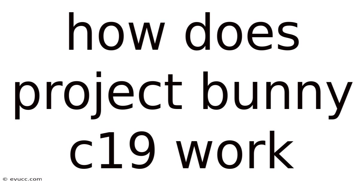 How Does Project Bunny C19 Work