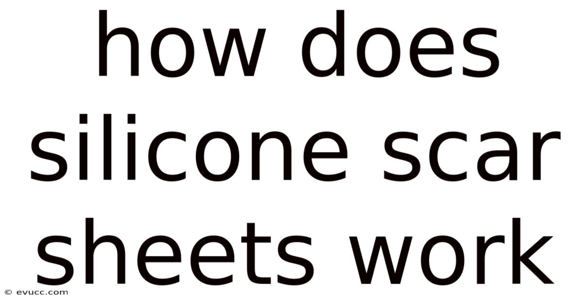 How Does Silicone Scar Sheets Work