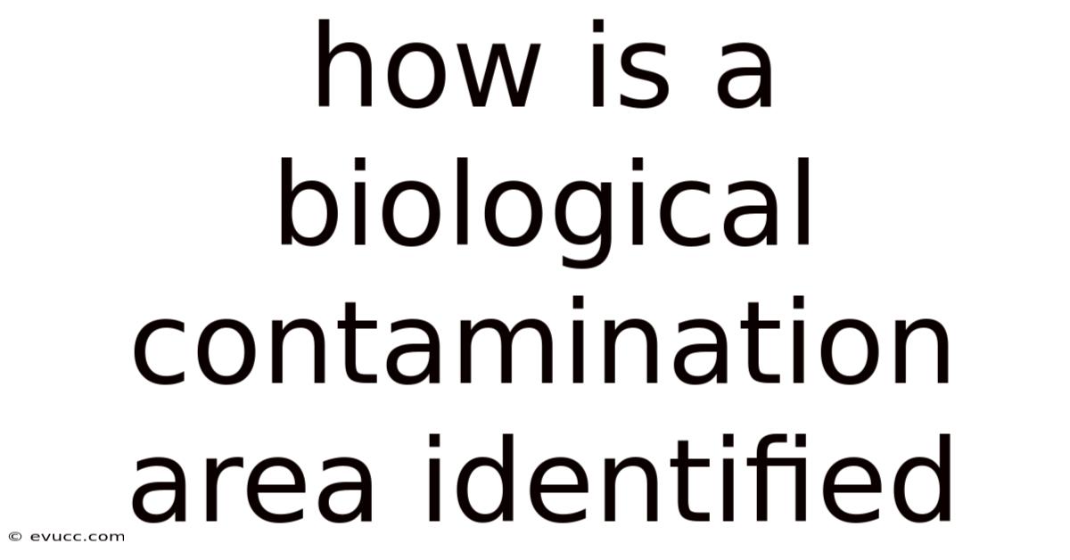 How Is A Biological Contamination Area Identified