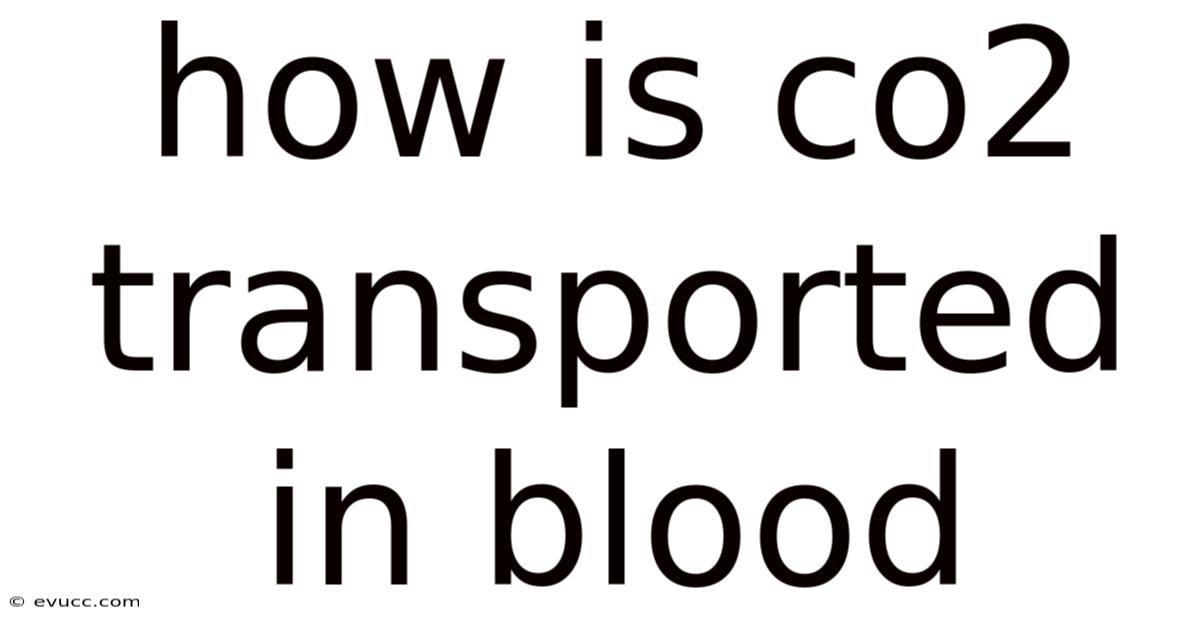 How Is Co2 Transported In Blood