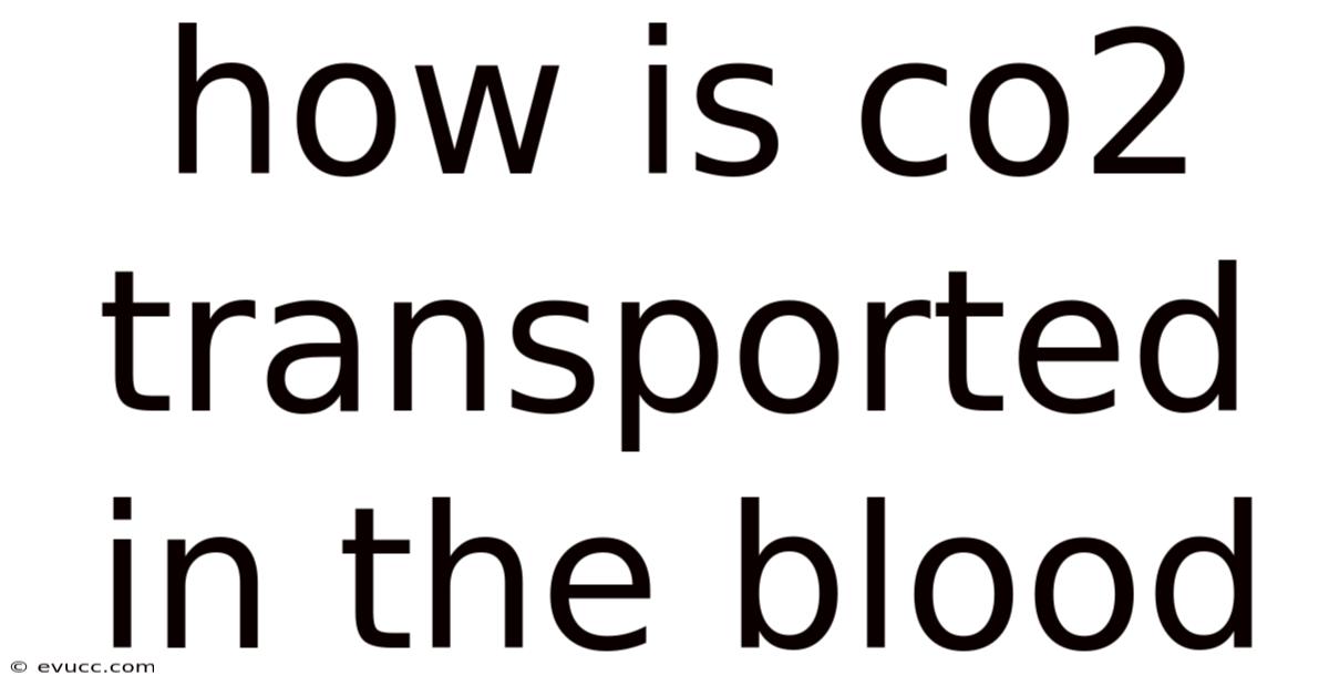 How Is Co2 Transported In The Blood