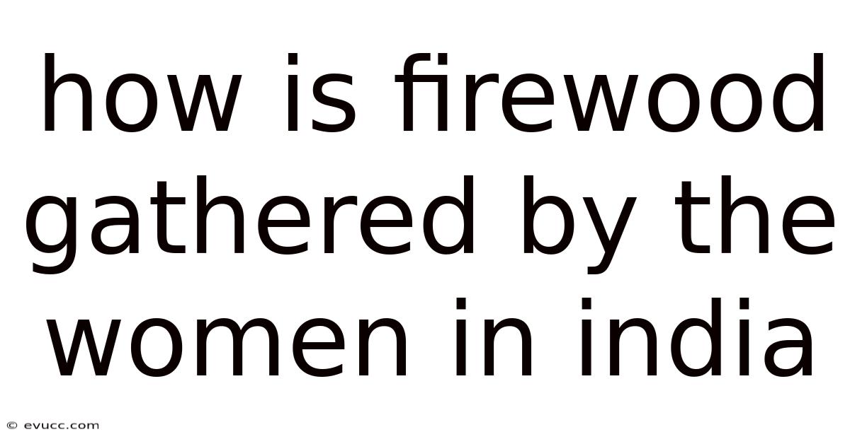 How Is Firewood Gathered By The Women In India