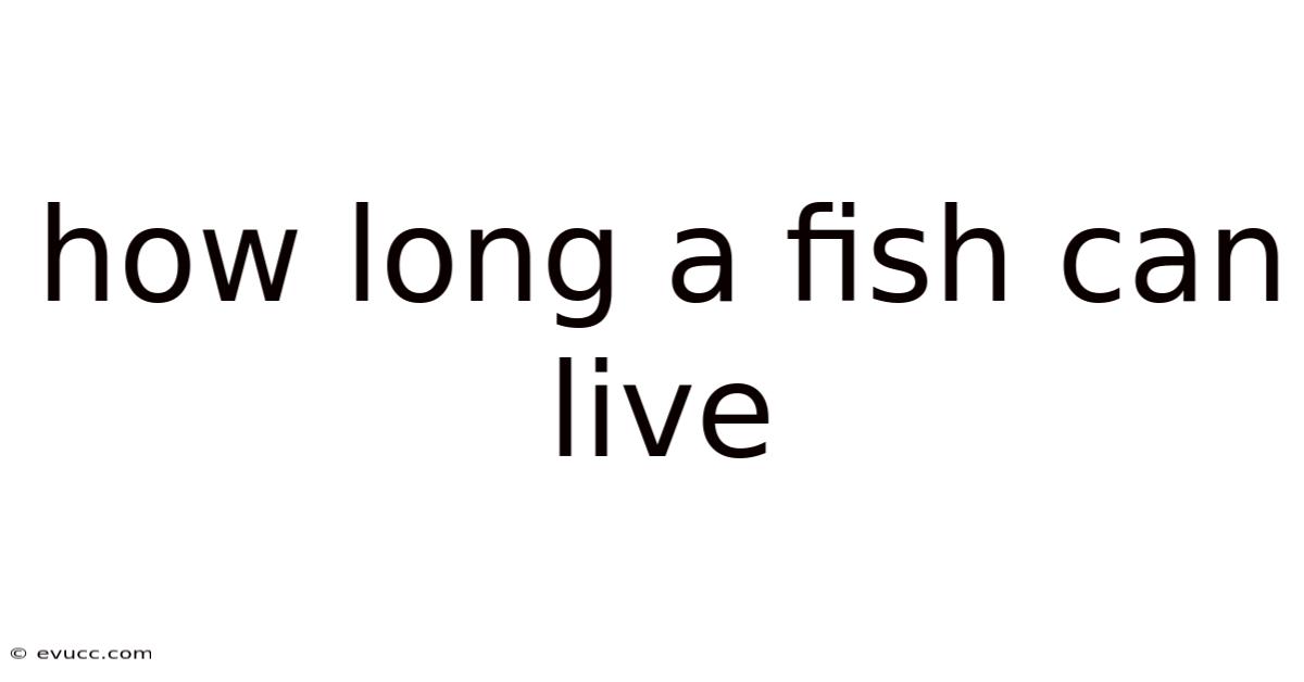 How Long A Fish Can Live