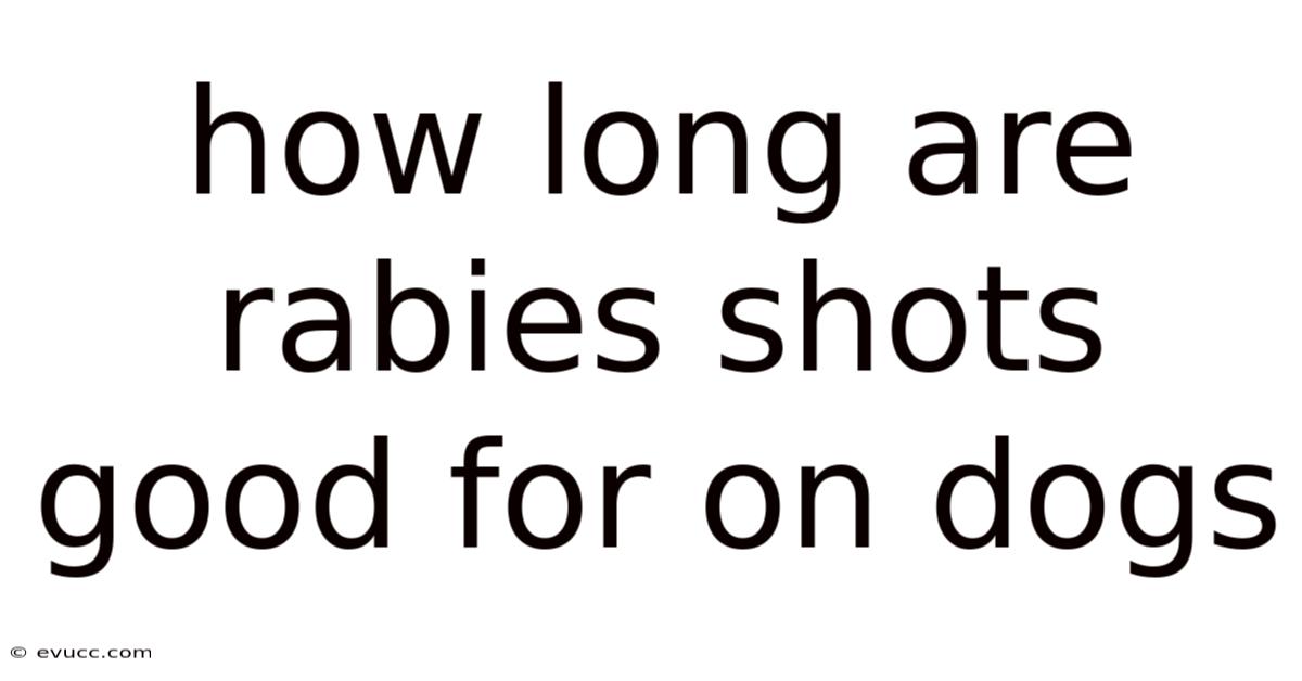 How Long Are Rabies Shots Good For On Dogs