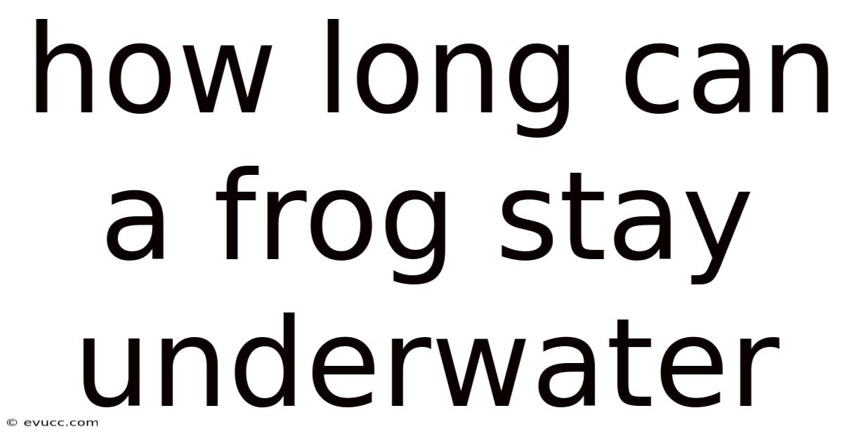 How Long Can A Frog Stay Underwater