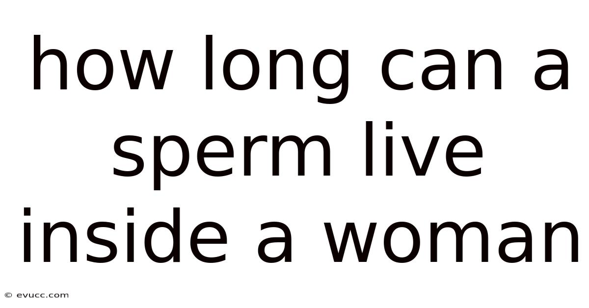 How Long Can A Sperm Live Inside A Woman